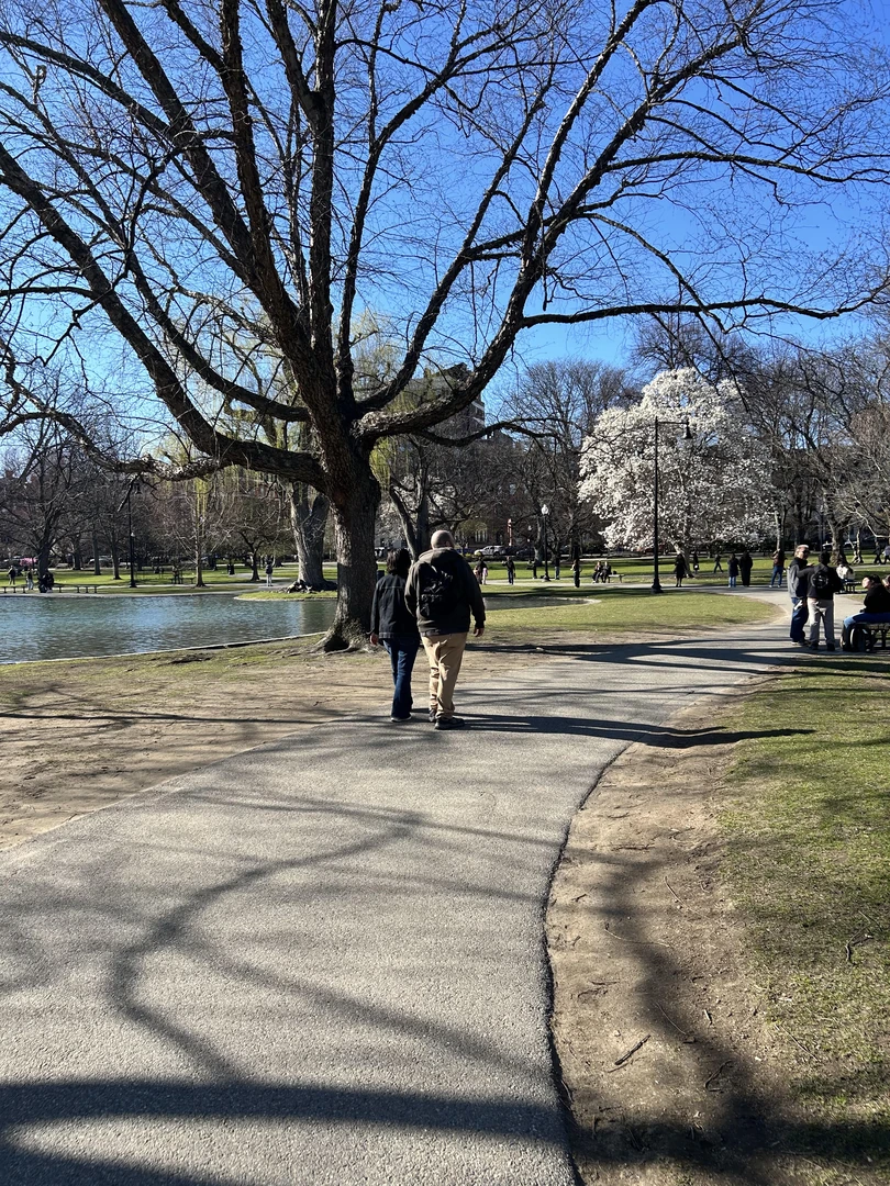 People walking in a public park